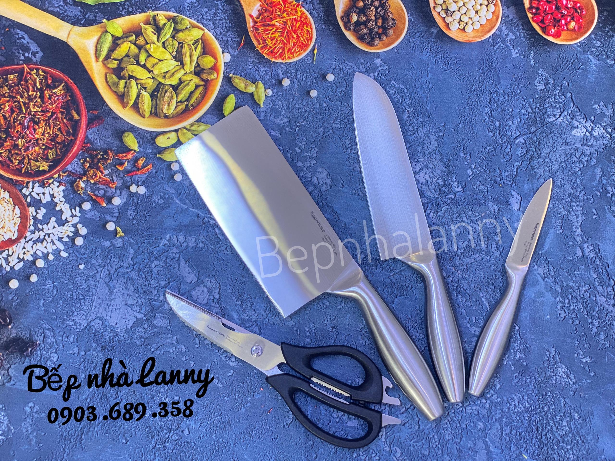 Bộ dao kéo Pro Asian Knives (4)