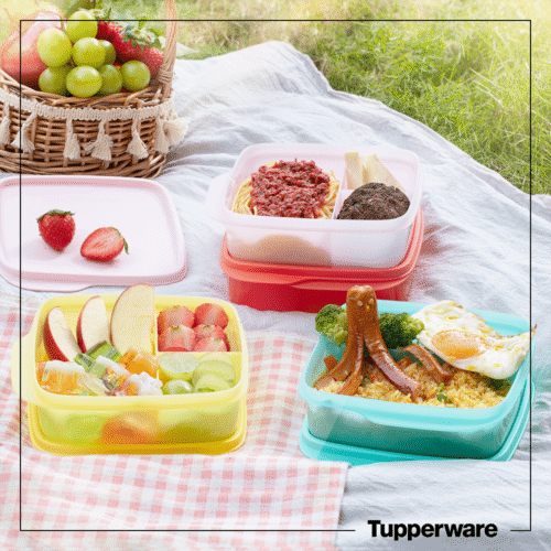 HỘP CƠM LOLLY TUP – Tupperware