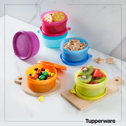 Bộ hộp bảo quản thực phẩm Small Sever 200ml 6 hộp – Tuperware